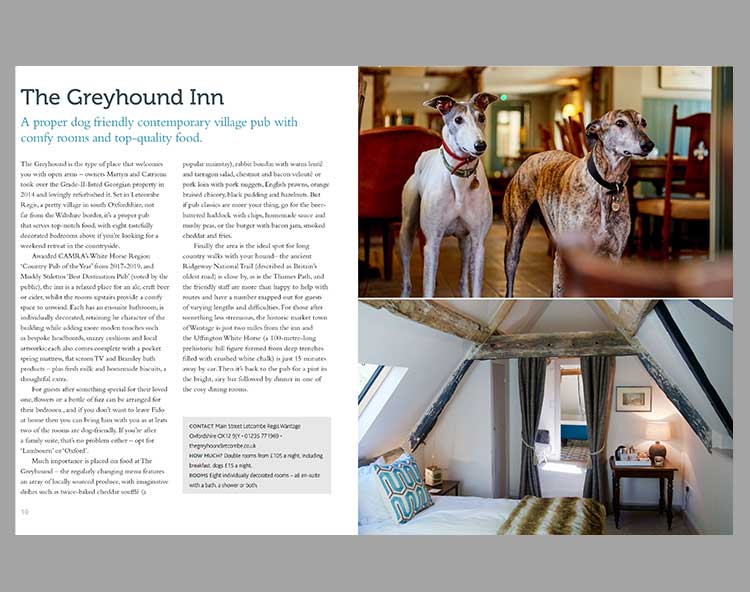 Dog Friendly Britain - Travel Book tradtional gift Bookspeed 