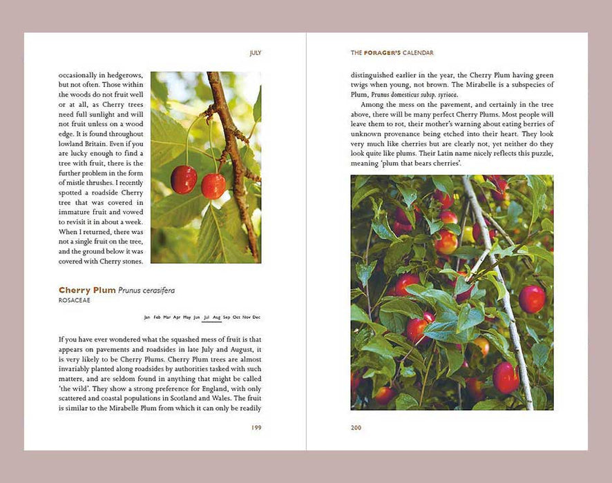 forager book