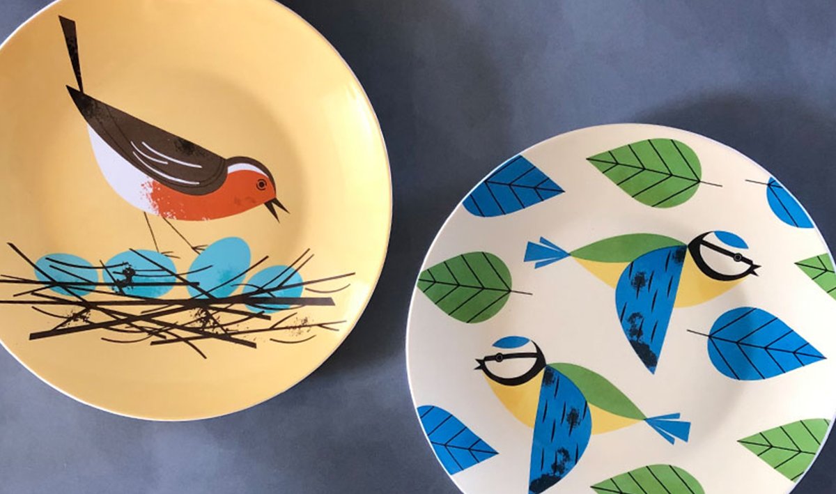 Birdy's Back!