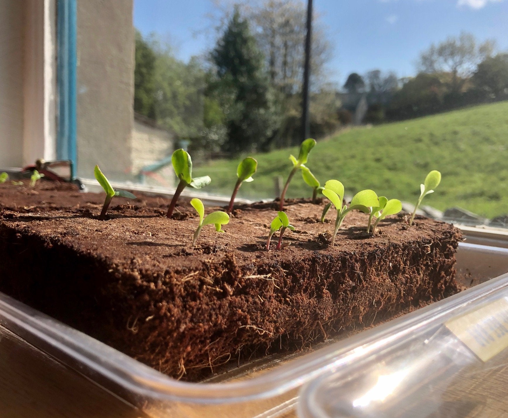 Growing Your Own! Growbars tried and tested by the team :)