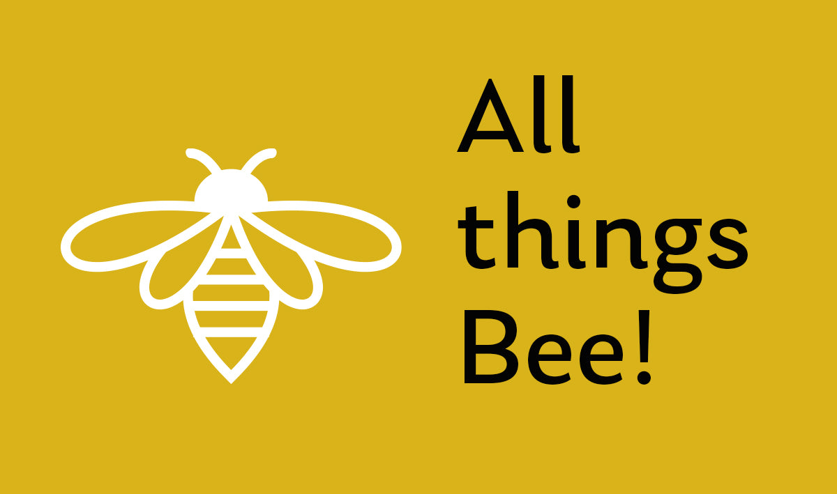 Products beginning with Bee in our store.