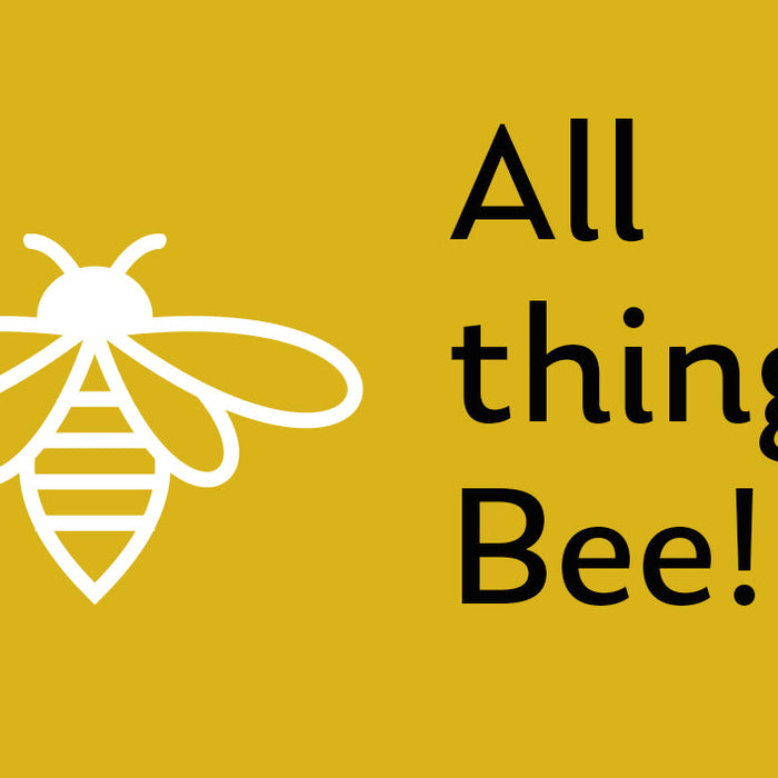 Products beginning with Bee in our store.