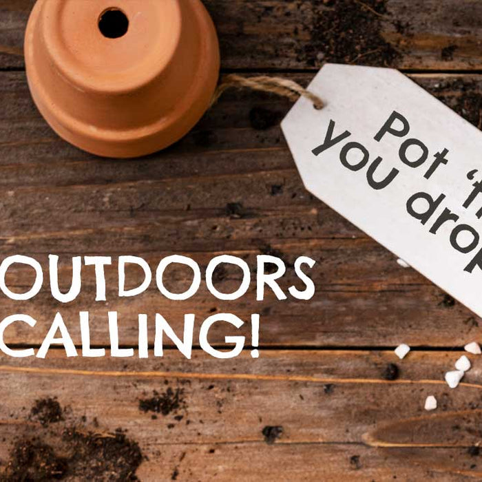 Spring is Sprouting and we have some ideas!