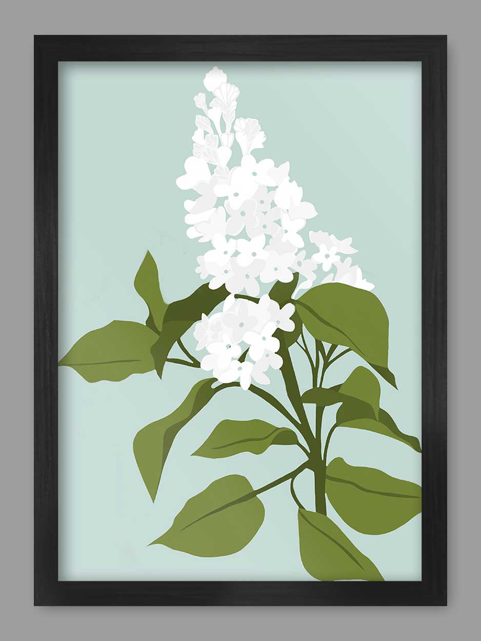 Candlelight Hydrangea Print