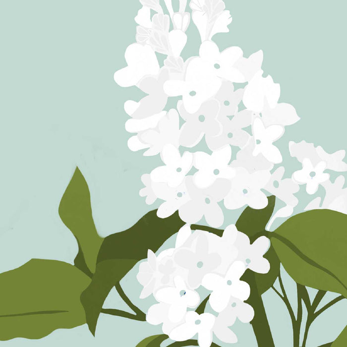 Candlelight Hydrangea - Imogen Joyce Design