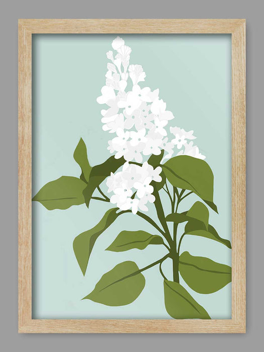 Candlelight Hydrangea - Imogen Joyce Design