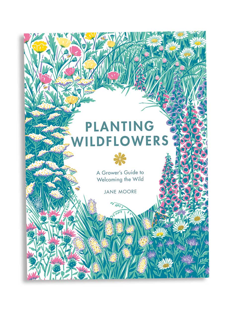 Planting Wildflowers