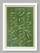 Rory Retains The Green Jacket - Golf Poster Print. Celebrating Rory McIlroy's victory at the 2026 US masters. A hole by hole account of McIlroy's successful defence of his title.
