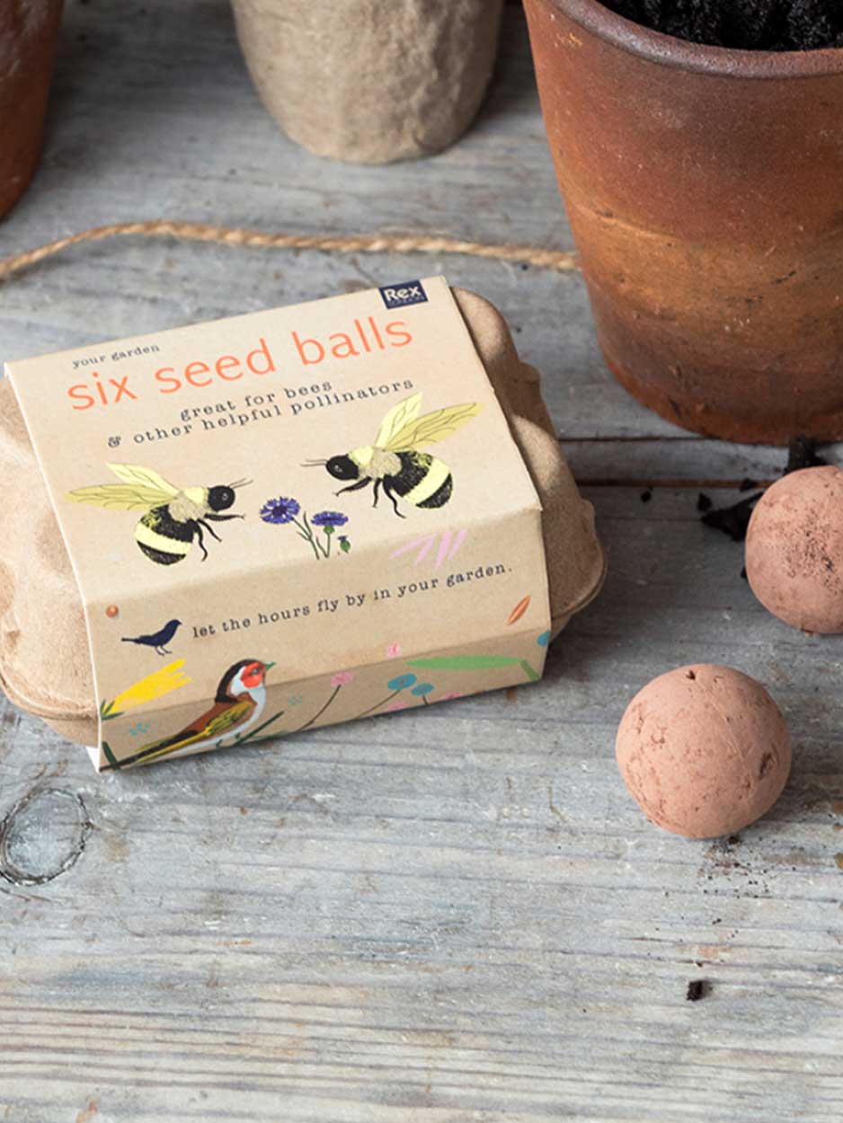 Seed Ball Box