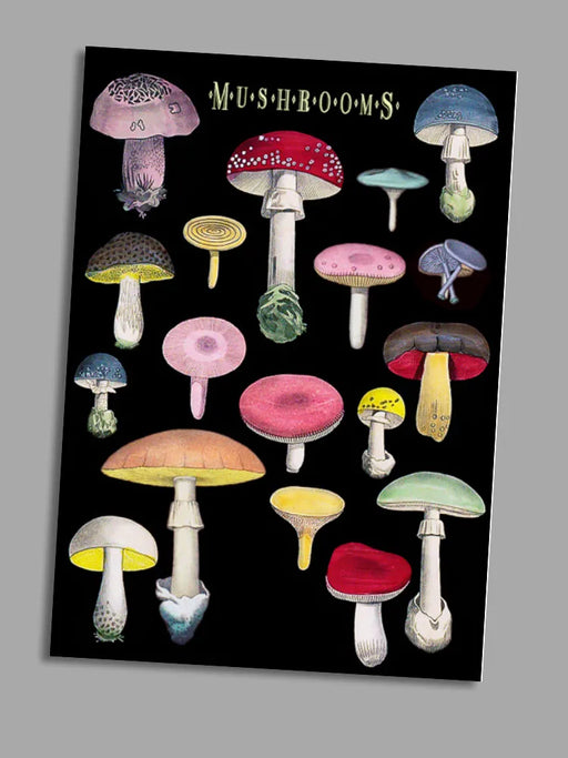 MUSHROOMS GREETING CARD