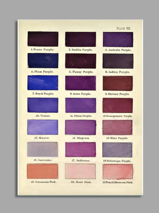 PURPLE COLOUR SWATCH CARD