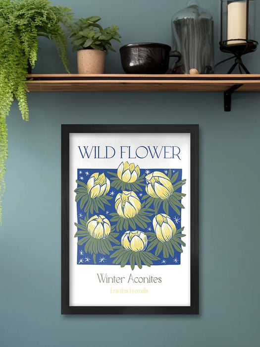 Winter Aconites - Sue Halstead