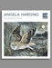Angela harding colouring book