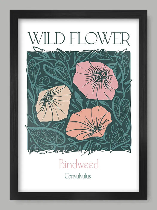 Bindweed - Sue Halstead