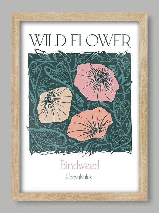 Bindweed - Sue Halstead