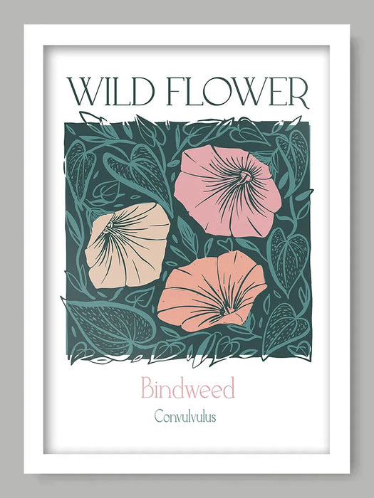 Bindweed - Sue Halstead