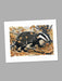 Blustery Day Badger - Blank Card card Orwell Press 