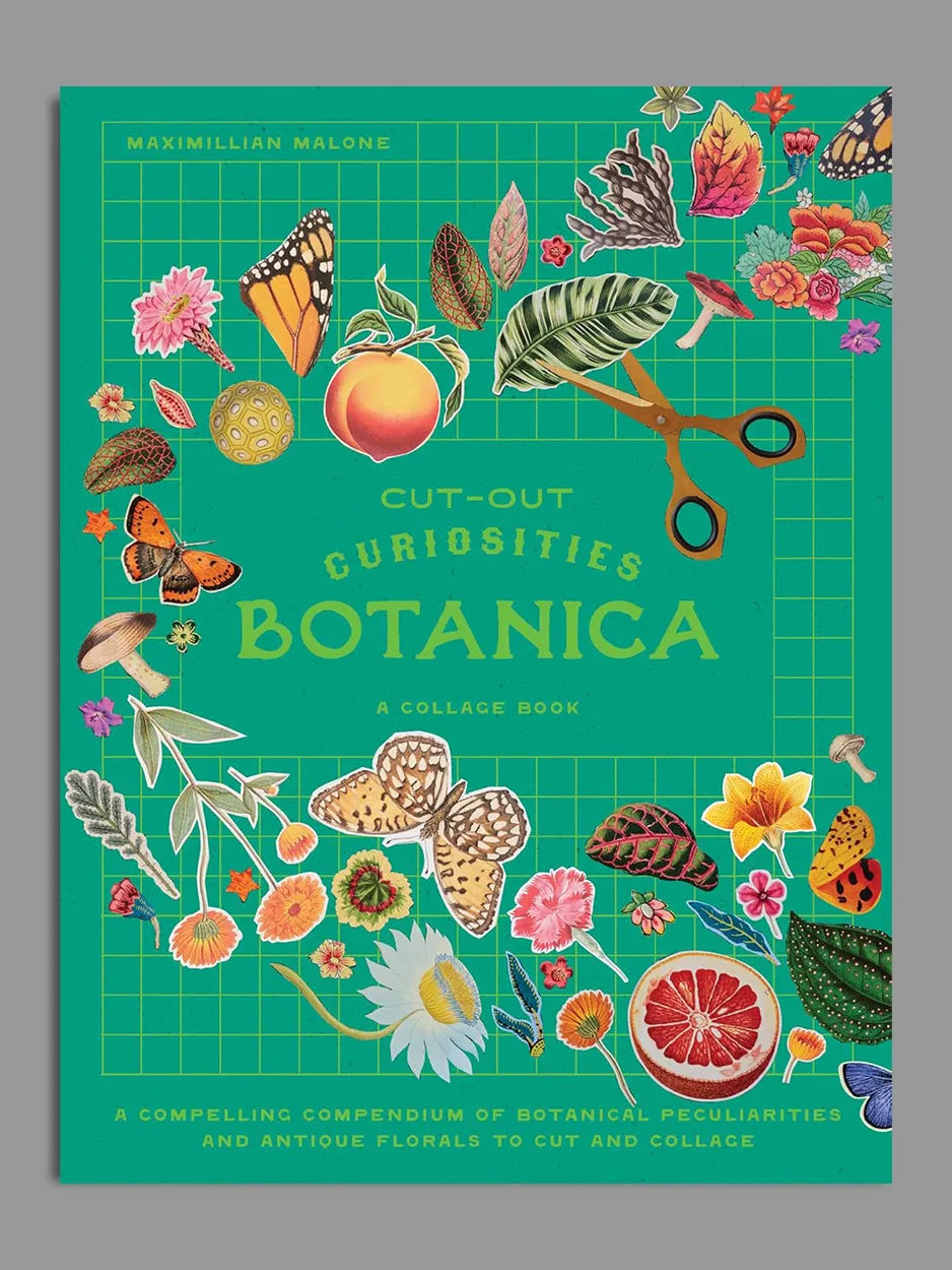 cut out curiosities collage book