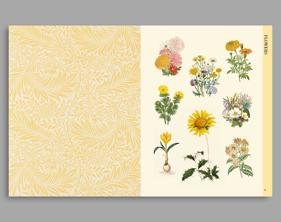 Botanical Art - cut out and collage Books Bookspeed 