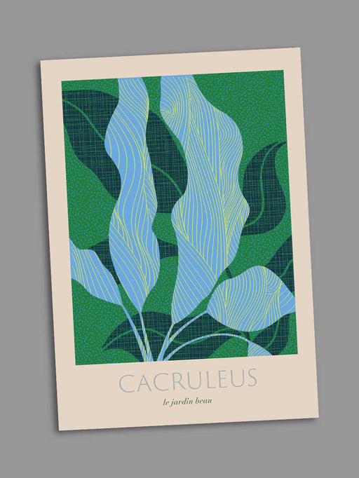 Cacruleus Card