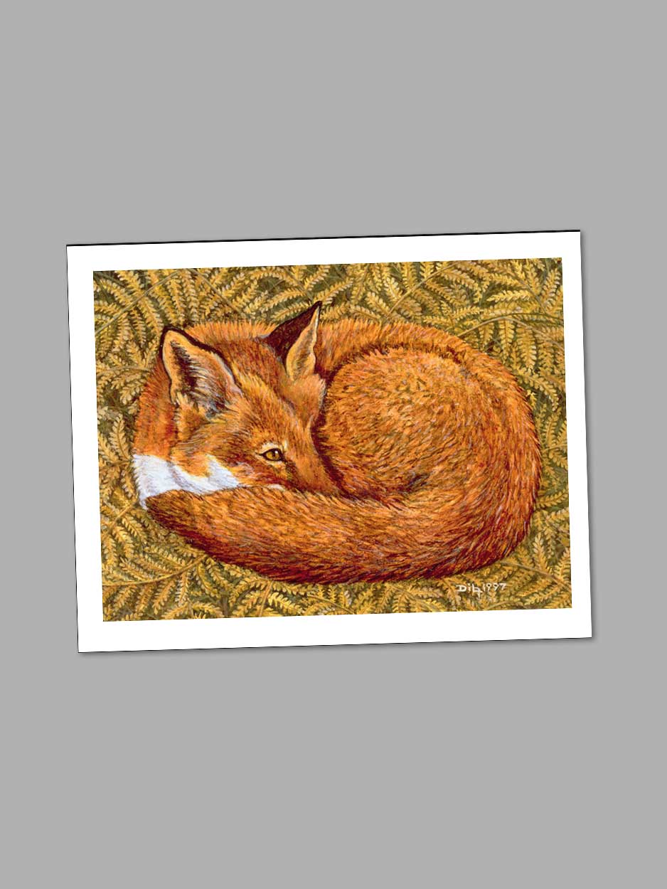 Cat-napping Fox - Blank Card card Orwell Press 