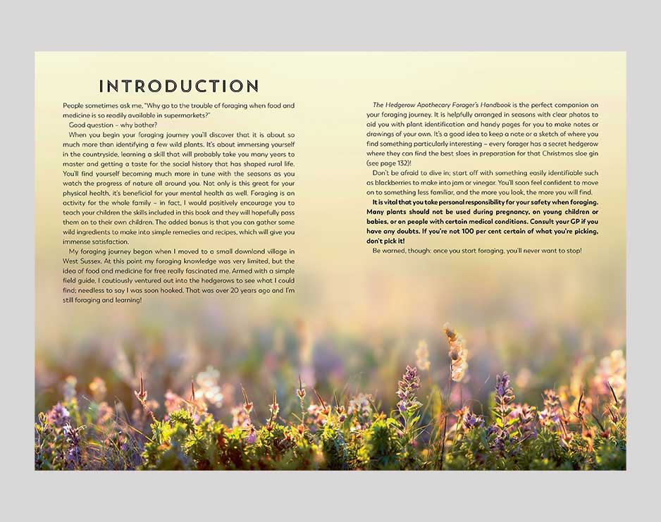 Hedgerow Apothecary -Foragers Handbook Books Bookspeed 