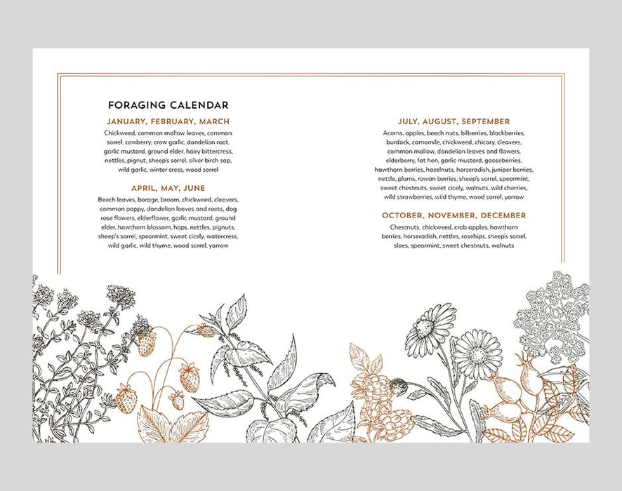 Hedgerow Apothecary -Foragers Handbook Books Bookspeed 