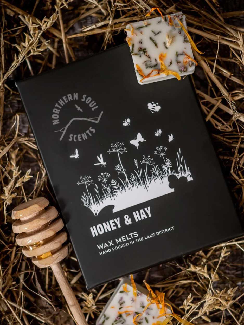 Lake District Wax Melt - Pack of 6 traditional gift The Northern Line Honey & Hay 
