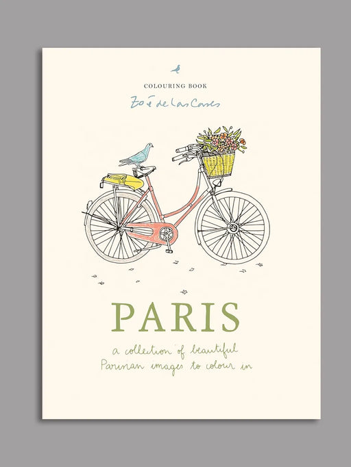 paris colouring book 