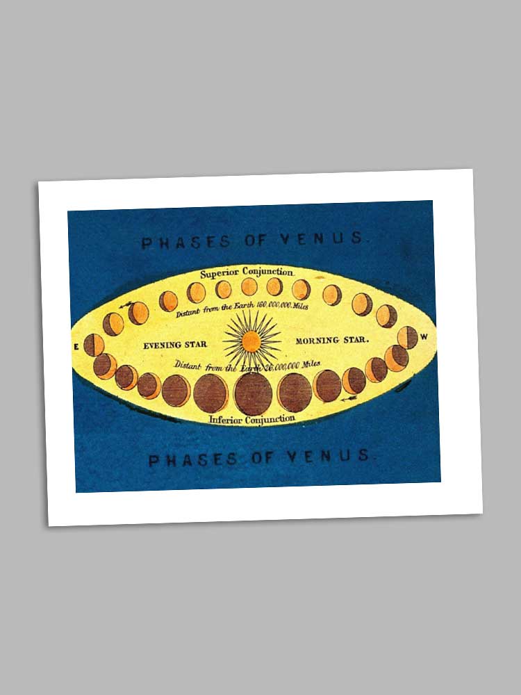 Phases of Venus - petite greeting card card Madame Treacle 