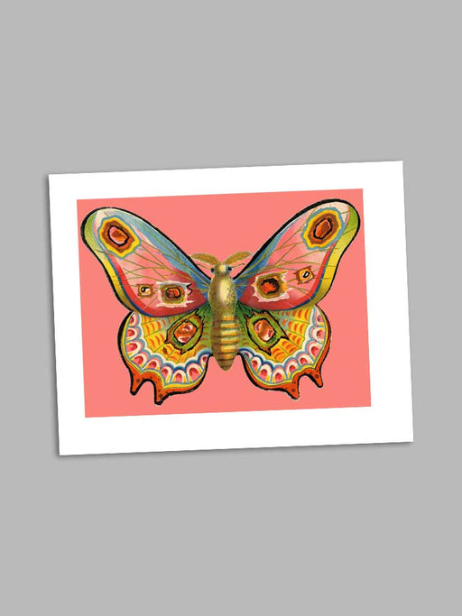 Pink Butterfly - petite greeting card card Madame Treacle 