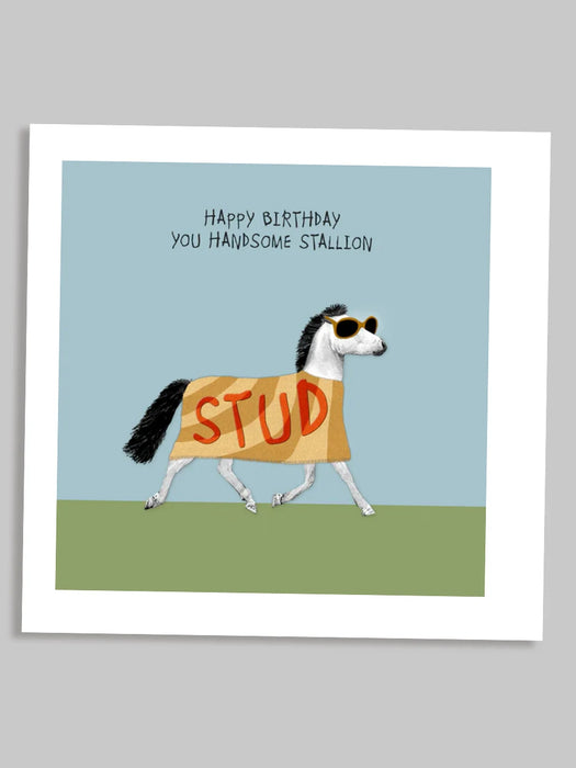 handsome stallion birthday card