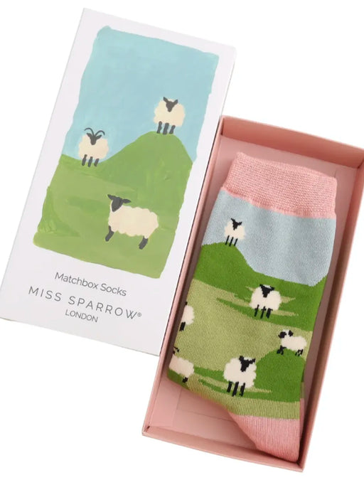 sheep socks in gift box