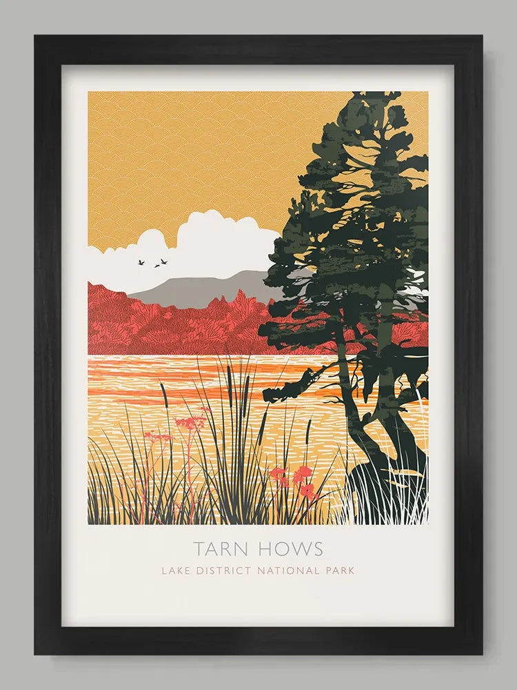 Tarn Hows Reflections  - Lake District Poster Print