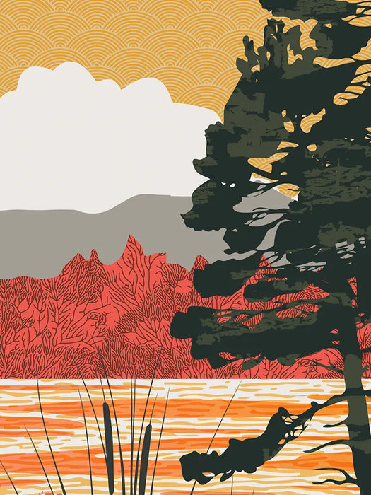 Tarn Hows Reflections  - Lake District Poster Print