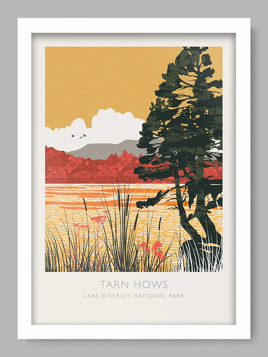 Tarn Hows Reflections  - Lake District Poster Print