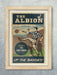 The Albion, West Bromwich Albion Football Poster Print