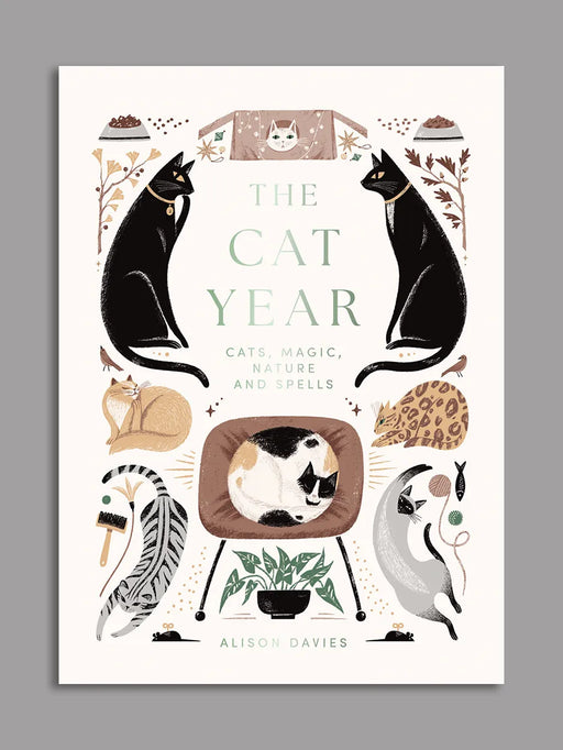the cat year