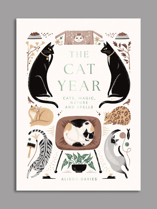 the cat year