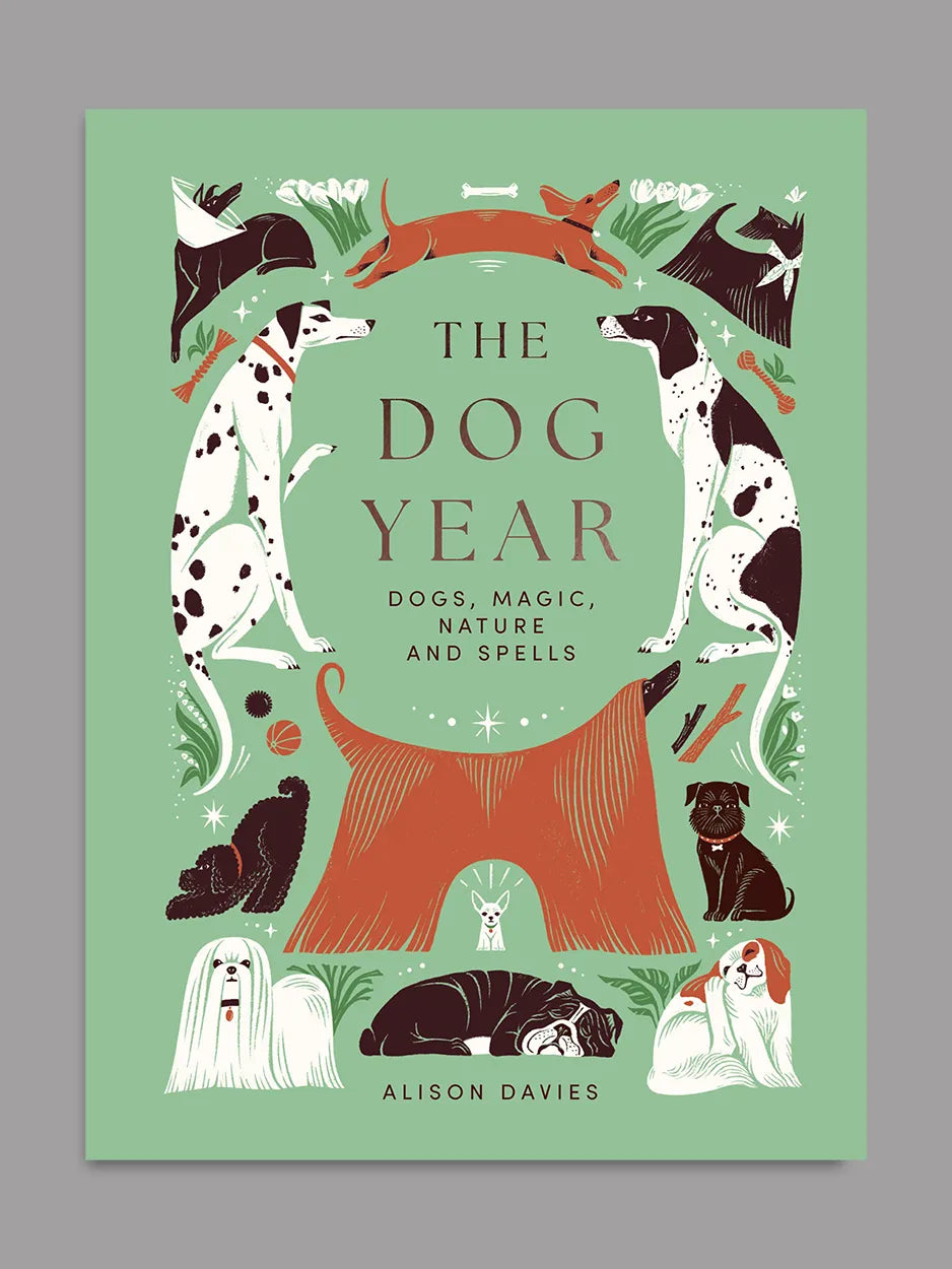 the dog year
