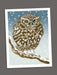 A winter owl card