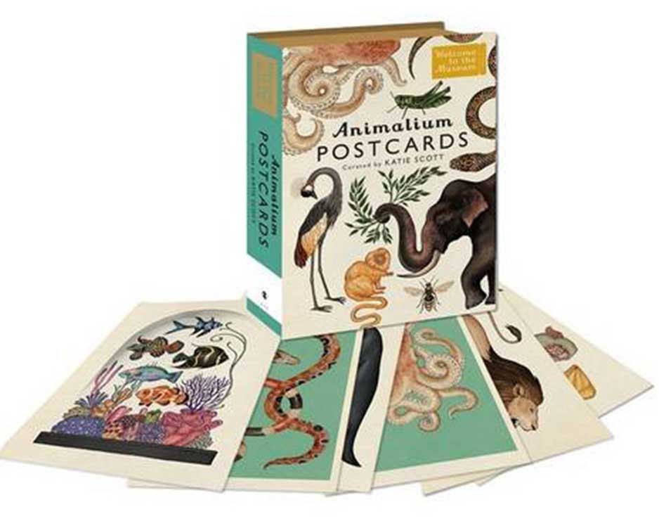 box set of animal postcards
