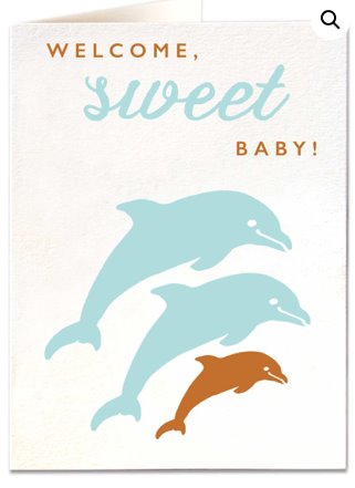 Baby Dolphin Card Baby The Northern Line 