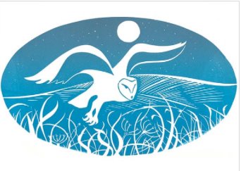 Barn Owl Card