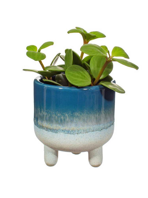 blue mini planter