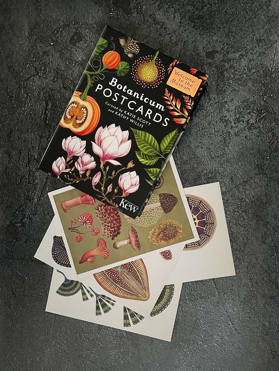 Botanical - Box Set of 50 Postcards Books Bookspeed 
