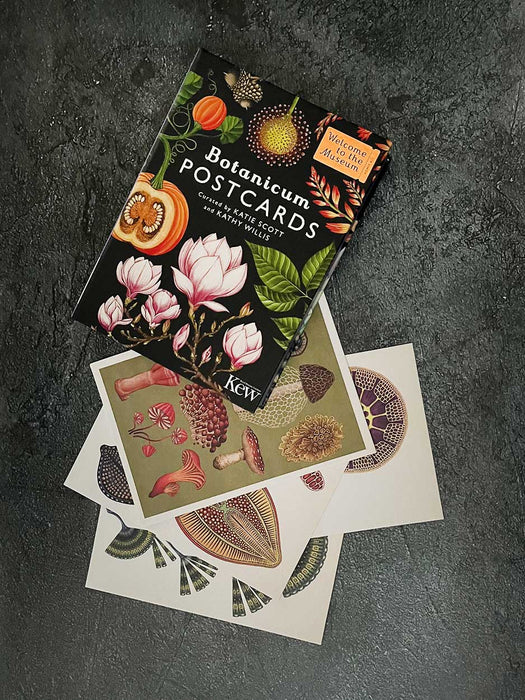 Botanical - Box Set of 50 Postcards Books Bookspeed 