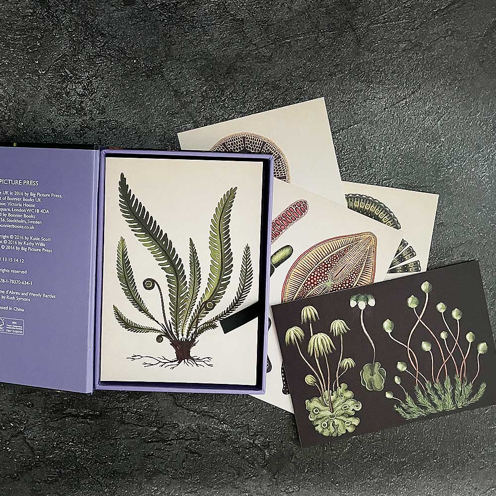 Botanical - Box Set of 50 Postcards Books Bookspeed 