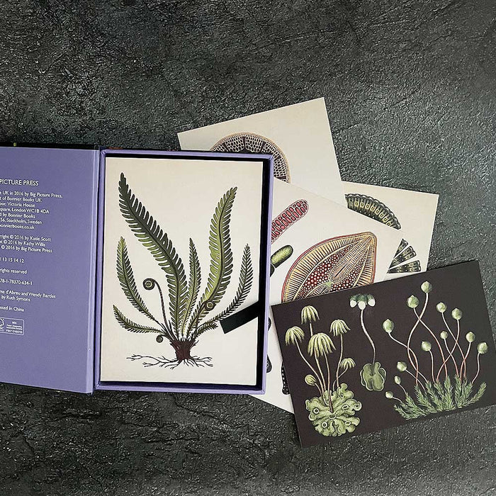 Botanical - Box Set of 50 Postcards Books Bookspeed 