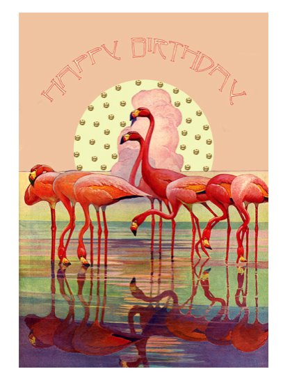 flamingo sunset card